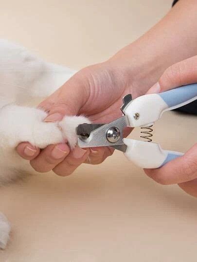 How To Cut Your Dog S Nails Correctly Artofit