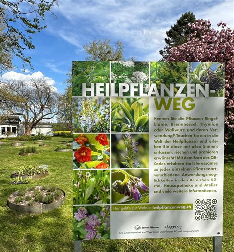 Heilpflanzenweg Im Schaugarten Zuchwil Wyss Samen Und Pflanzen AG