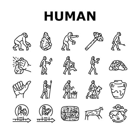 Premium Vector | Human evolution man caveman icons set vector