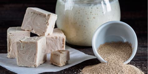 tips memilih ragi berdasarkan ciri cirinya