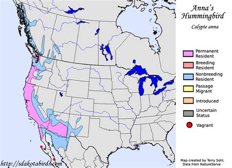 Anna's Hummingbird - Species Range Map