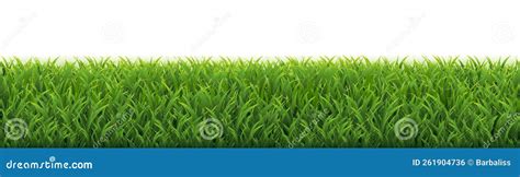 Grass Border with White Background Stock Photo - Image of petal, green ...