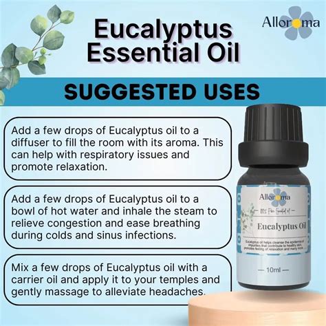 Buy 100 Organic Eucalyptus Aroma Oil Online Dazze And Blussh Dazze