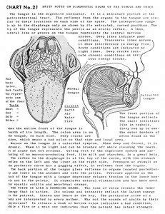 Holistic Healing Energy Healing Nerve Anatomy Polarity Therapy