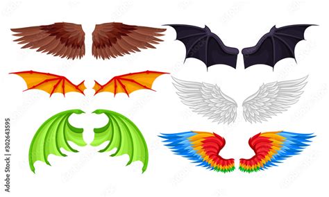 Wings of different birds and fabulous animals. Vector illustration ...