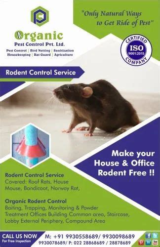 1 Week Industrial Rodent Control Treatment Mumbai Rs 1000 Sq Ft ID