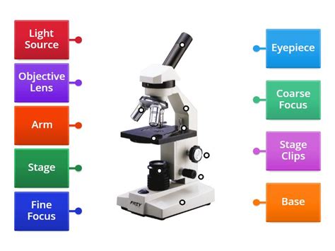 Label The Light Microscope Diagrama Con Etiquetas