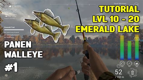 TUTORIAL LVL 10 20 DI EMERALD LAKE FISHING PLANET Bahasa YouTube