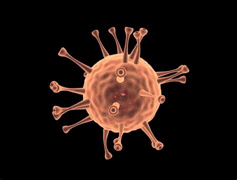 Coronavirus Animation 3d Cgtrader