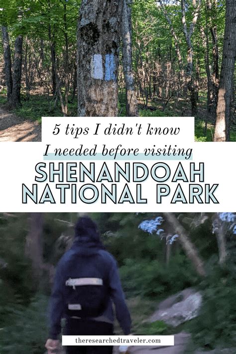 5 Tips To Know When Visiting Shenandoah National Park