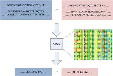 A Summary Of Our Method To Extract Functional Sequence From Multiple