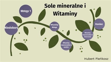 Sole Mineralne I Witaminy By Hubert Pie Kosz On Prezi