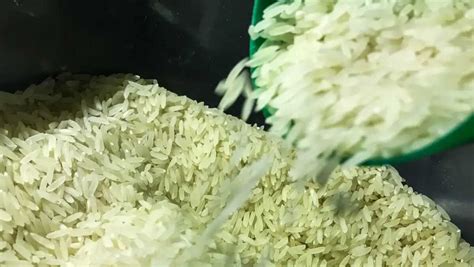 É mentira que arroz importado está contaminado ou é de plástico O