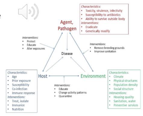 3.2-3.3 Biological and Genetic Factors Influencing Health & Disease ...