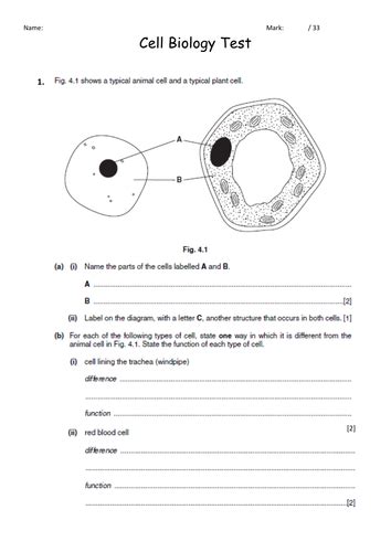 New Gcse Cell Biology End Of Unit Test Teaching Resources