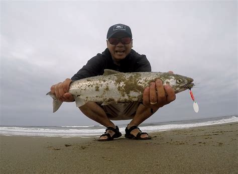 Oregon Surf Fishing