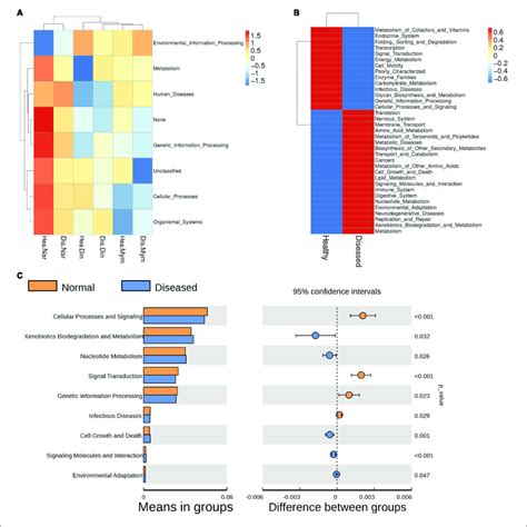 Functional Annotations Predicted By Kegg Pathway Analysis Of The