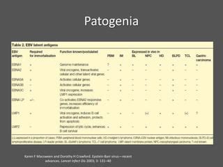 Sindrome Mononucleosico PPT