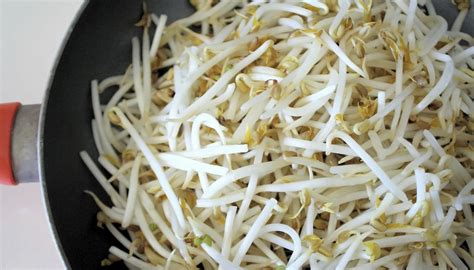 Pregnancy And Bean Sprouts How To Adult