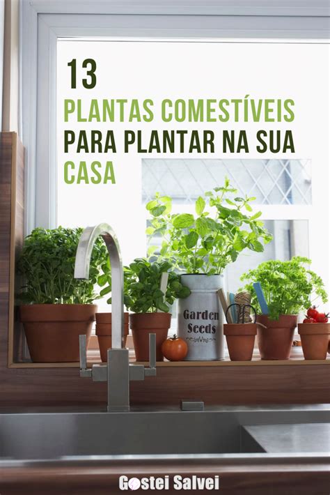 13 Plantas comestíveis para plantar na sua casa GosteiSalvei