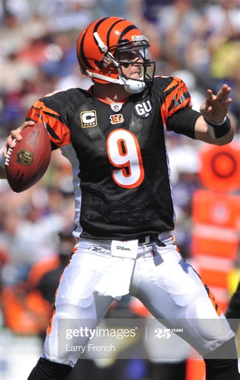 Carson Palmer Bengals