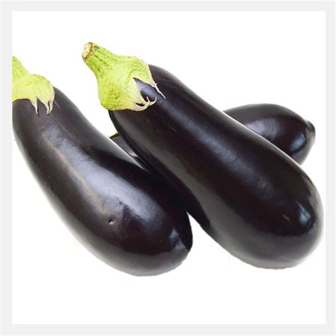 Eggplant Round Baingan Seeds