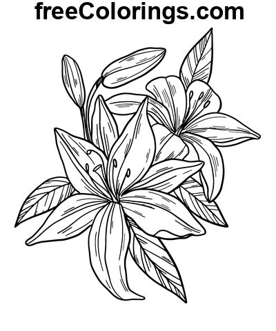 Superbes Fleurs De Lys Coloriages Gratuits Imprimer