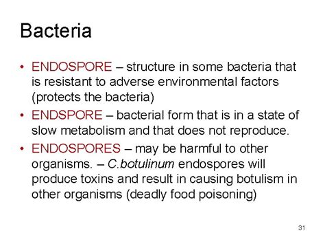 VIRUSES Chapter 18 Bacteria Viruses Bacteria 1 Viruses