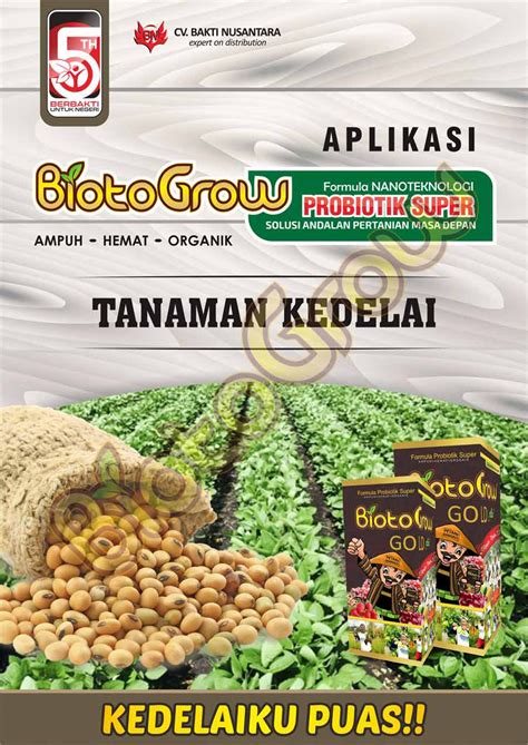 Biotogrow Pada Tanaman Kedelai Cara Tepat Budidaya Kedelai