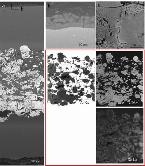 bei image   plate section  zone    detailed bei image