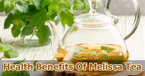 Melissa Plant And Melissa Tea: Health Benefits, Uses, Side Effects and ...