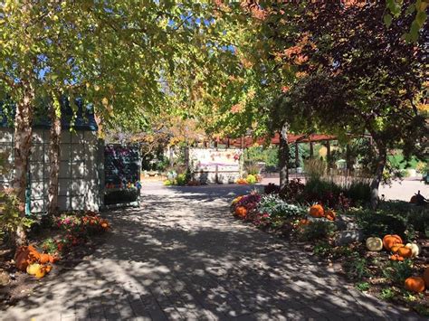 Botanical Gardens Boise Id Beautiful Flower Arrangements And Flower