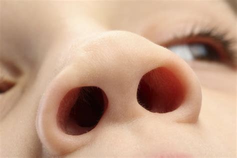 7 Surprising Facts About Your Nose