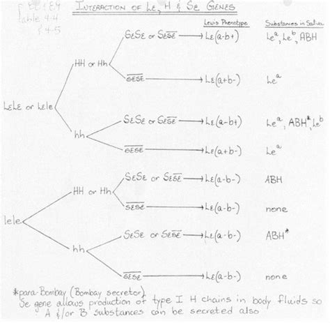 MLT 125 Blood Bank Test 1 Exam 3 Flashcards Quizlet