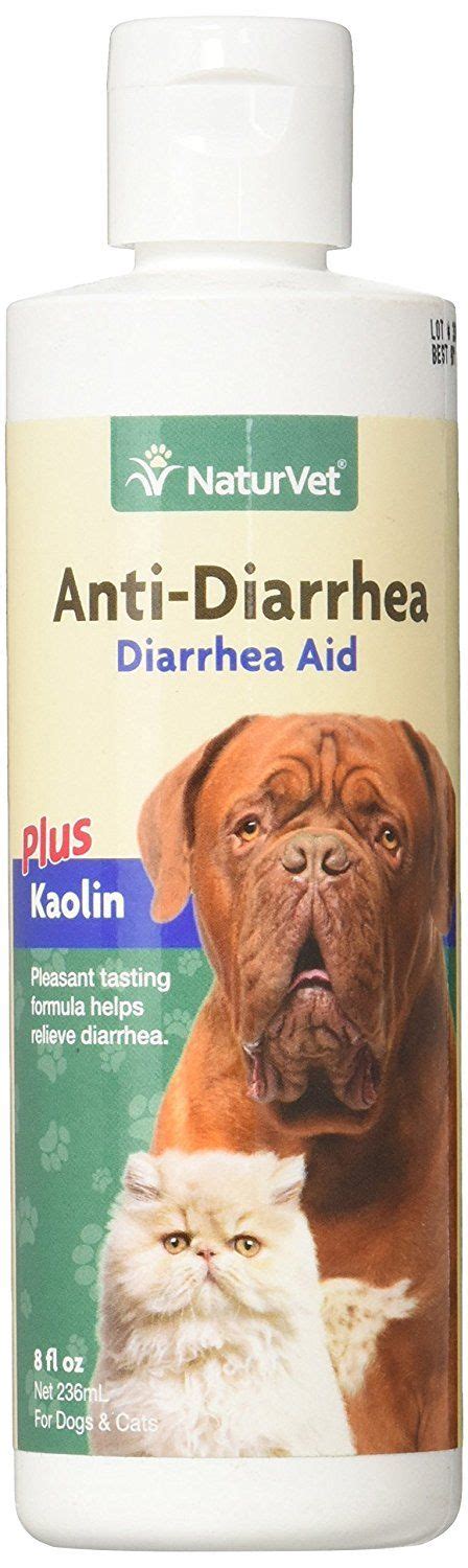 Anti Diarrhea For Cats