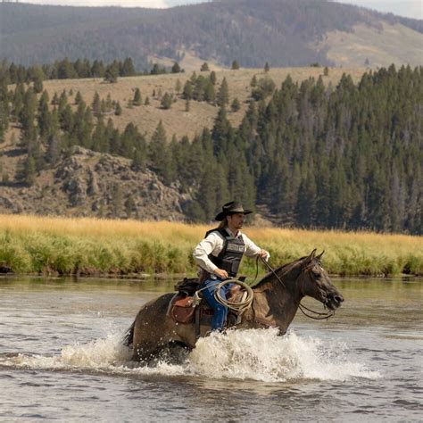 Kayce Dutton in 2024 | Yellowstone series, Luke grimes, Western horse