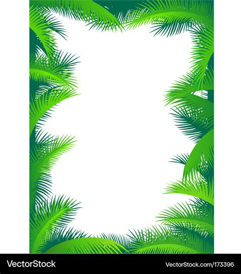 Palm Border Royalty Free Vector Image Vectorstock