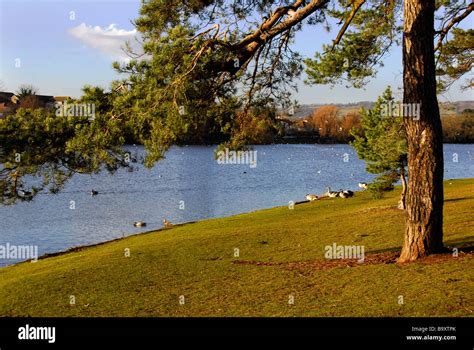 roath park lake cardiff Stock Photo - Alamy