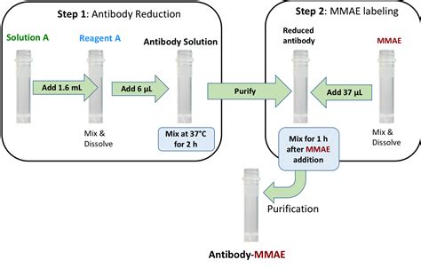 Antibody Mmae Conjugation Kit