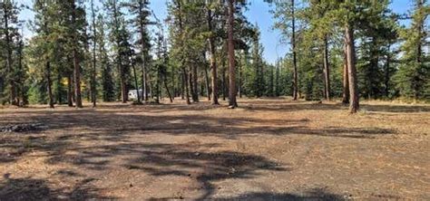 Trout Creek Pass Dispersed Camping Hartsel Roadtrippers