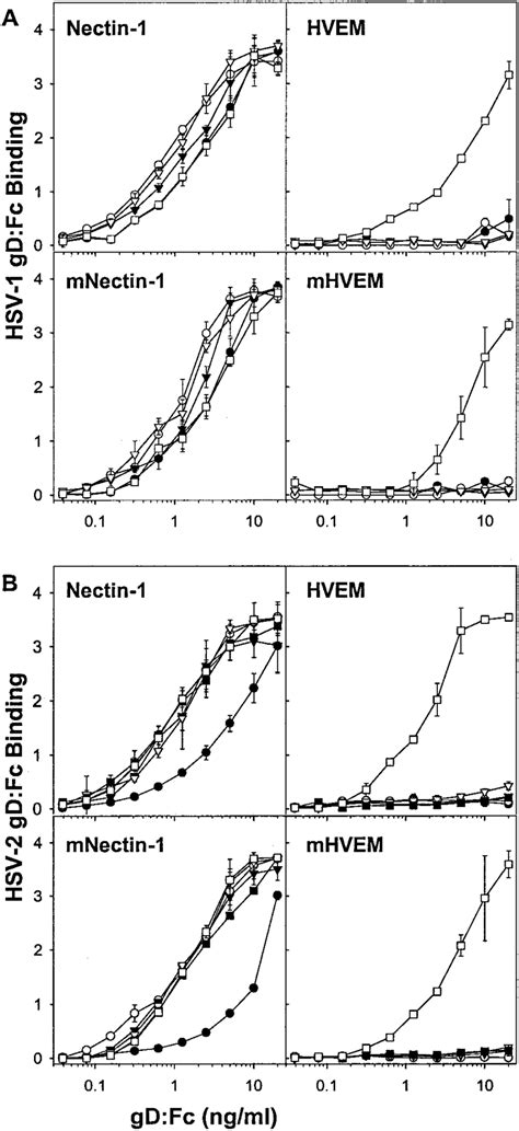 Quantitation Of The Binding Of Wild Type And Mutant Deletion Mutant