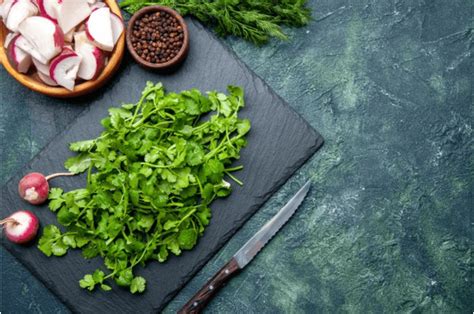 Consejos A Seguir Para Que El Cilantro Dure Fresco Por M S Tiempo