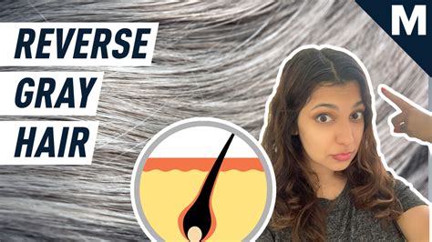 How to reverse gray hair, according to scientists | Mashable