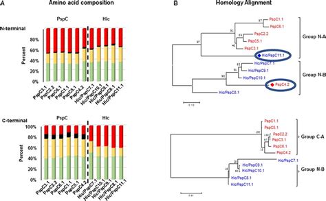 Differences In The N And C Terminal Regions Of The Pspc And Hic