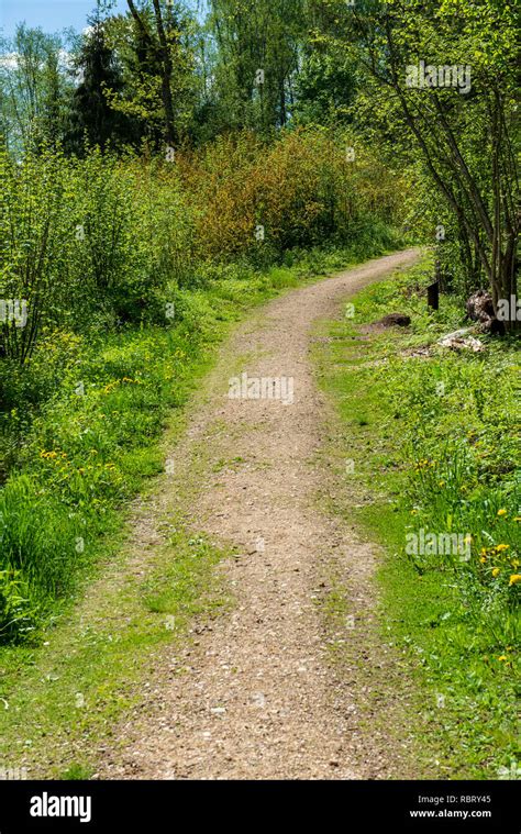 Country Gravel Road In Perspective With Old And Broken Asphalt In