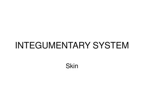 Ppt Integumentary System Powerpoint Presentation Free Download Id