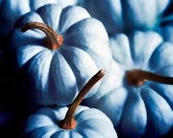 Blue Pumpkins Pictures, Photos, and Images for Facebook, Tumblr, Pinterest, and Twitter