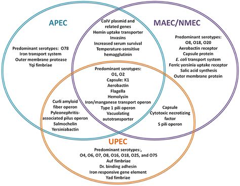 Frontiers An Overview Of Two Component Signal Transduction Systems Implicated In Extra