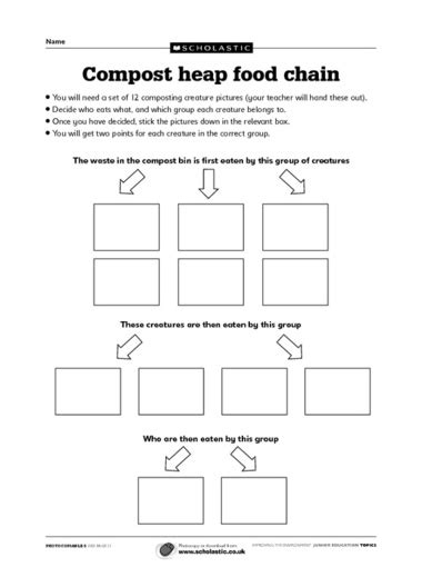 12 Food Chain Worksheet.pdf / worksheeto.com