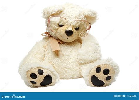 Teddy Bear In Glasses Isolated Royalty Free Stock Images Image 23551429